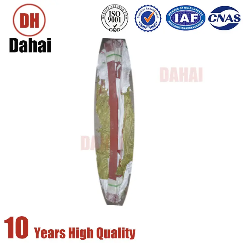 Dahai Japanese Quality Terex 15234879 Strap for Terex TR100 Parts