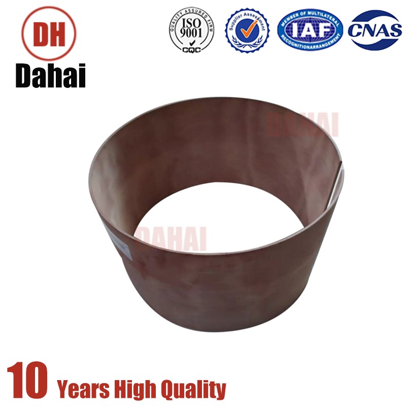 Dahai Japan Terex Ring-Wear 9016788 for Terex TR100 Parts