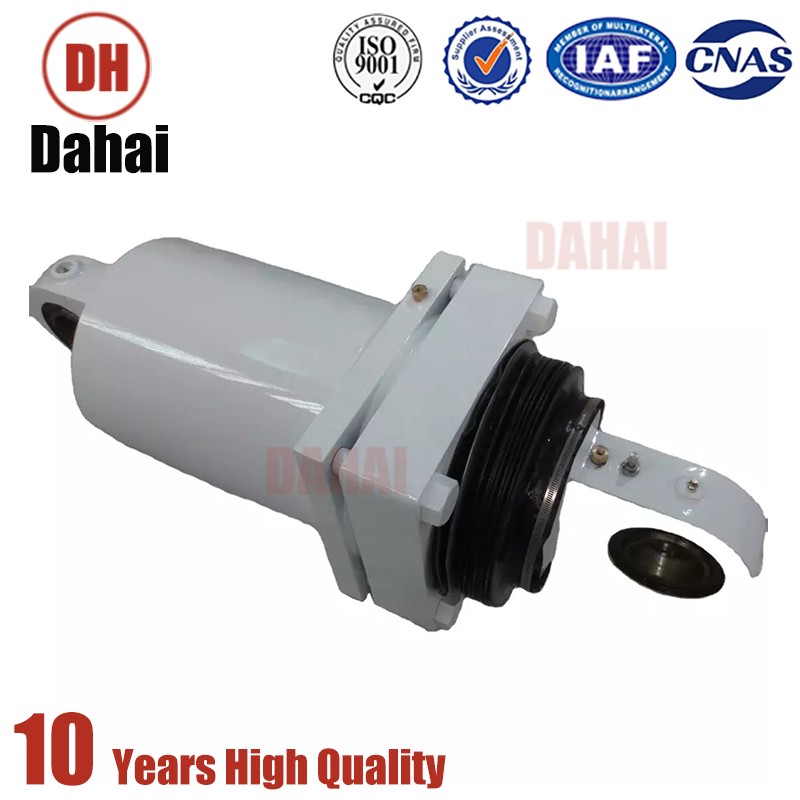 Dahai Japan Terex Rear Cylinder Assembly 9079698 for Terex TR100 Parts 