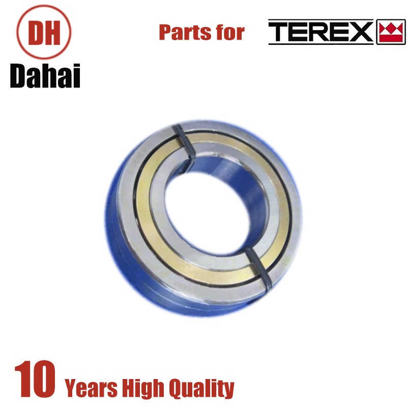 DAHAI Japan Bearing 29507729 for Terex TR100 Parts