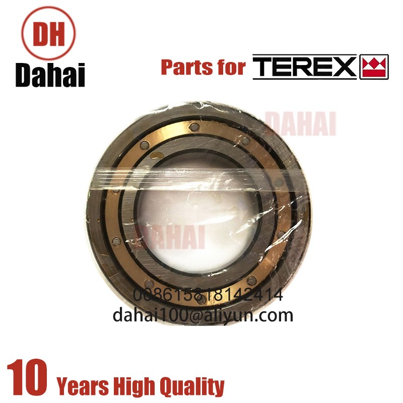 DAHAI Japan Bearing 29507729 for Terex TR100 Parts