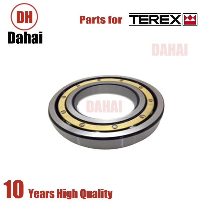 DAHAI Japan Bearing 29536399 for Terex TR100 Parts