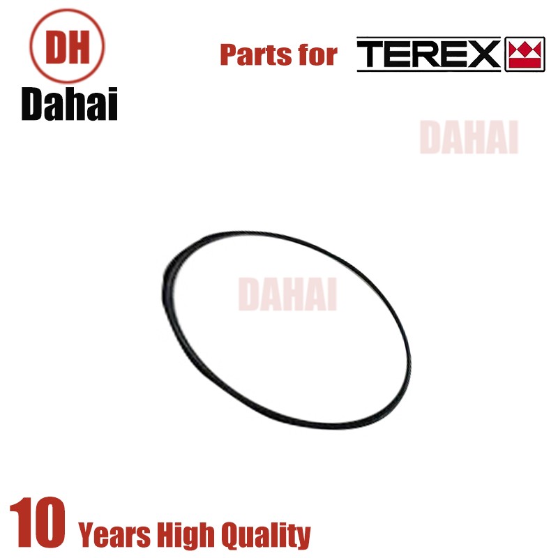 DAHAI Japan Ring 9055361 for Terex TR100