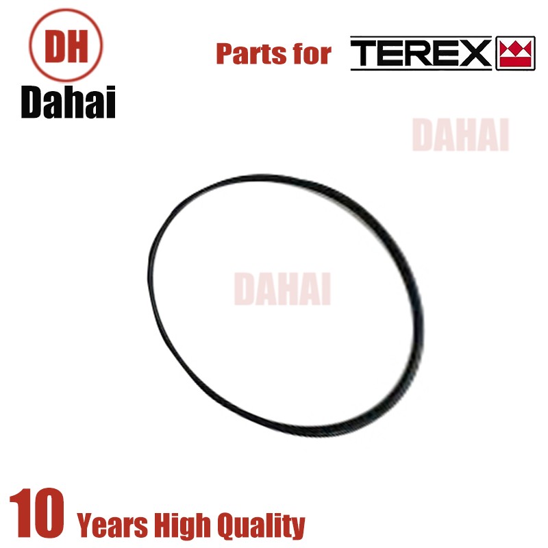 DAHAI Japan Ring 9055361 for Terex TR100