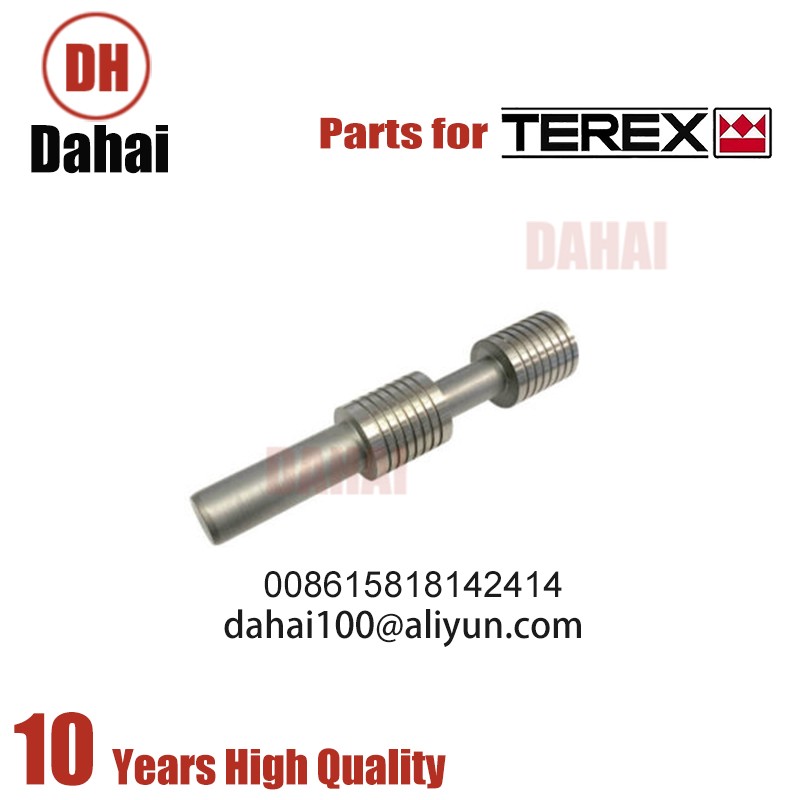 DAHAI Japan Valve 6770023 for Terex TR100 parts