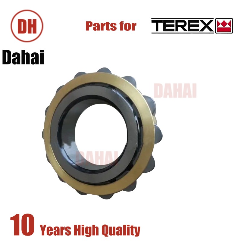 DAHAI Japan bearing 15015363 for Terex TR100 Parts