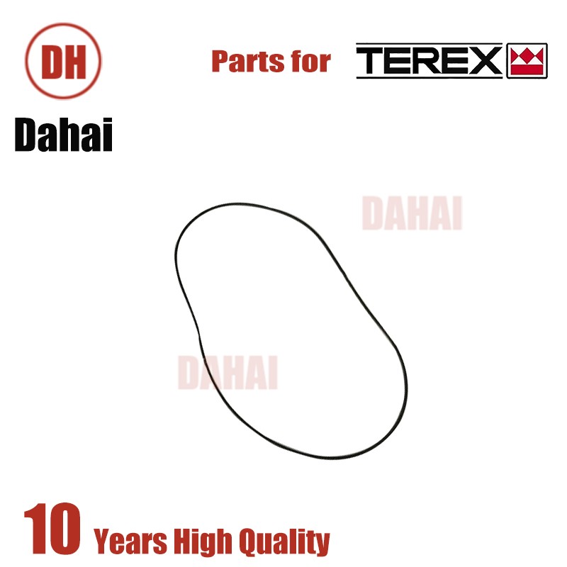 DAHAI Japan o-ring 15302757 for Terex TR100 Parts