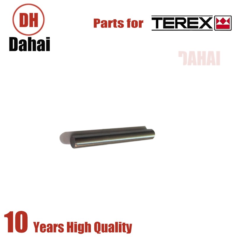 DAHAI Japan pin 9420675 for Terex TR100 Parts