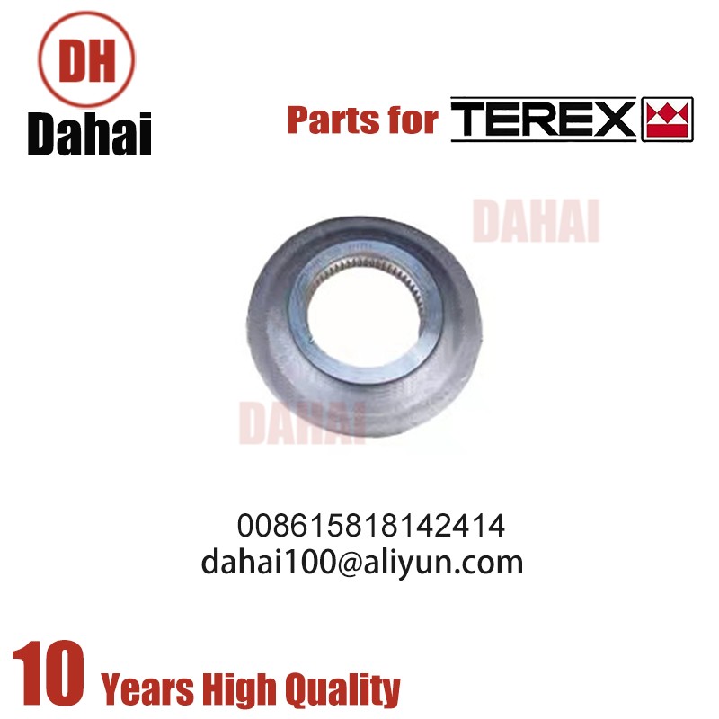 DAHAI Japan plate 6776185 for Terex TR100 Parts