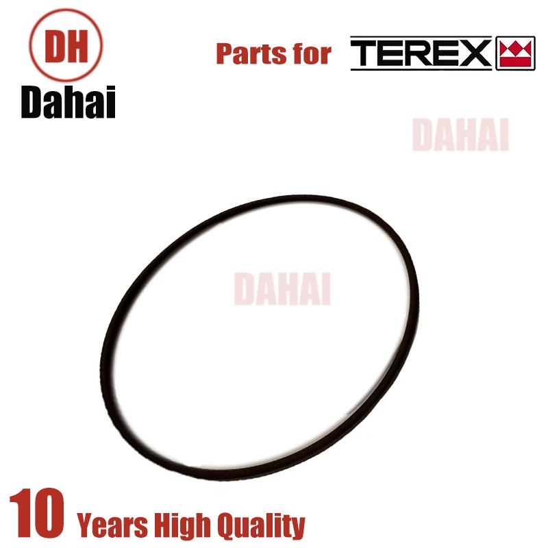 DAHAI Japan seal 23018958 for Terex TR100 Parts