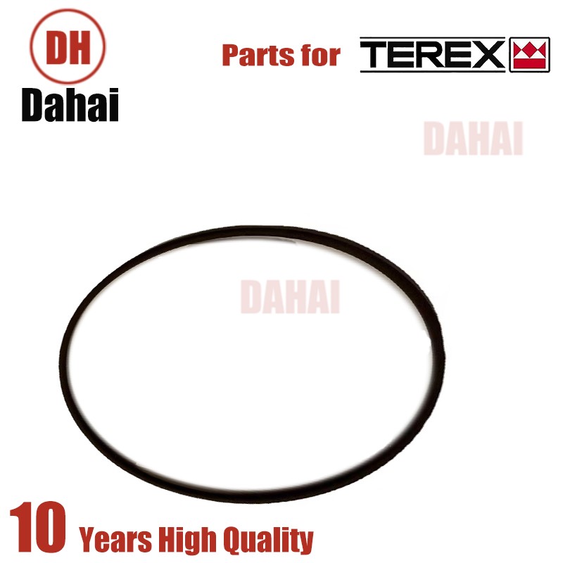 DAHAI Japan seal 23018958 for Terex TR100 Parts