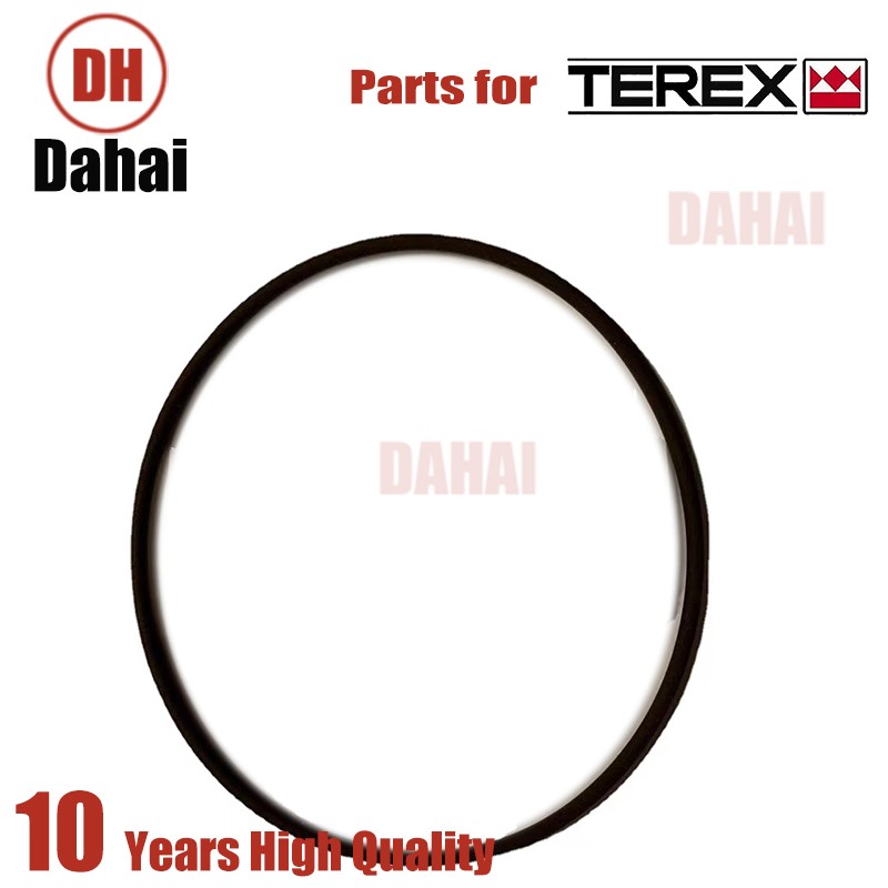 DAHAI Japan seal 23018958 for Terex TR100 Parts