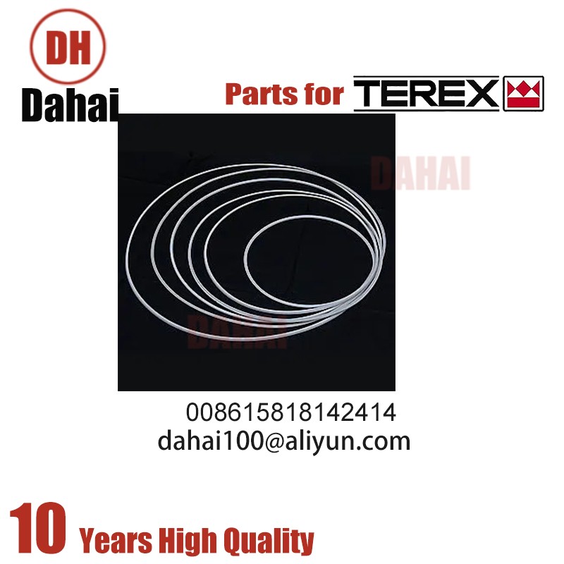 DAHAI Japan seal 6832482 for Terex TR100 parts