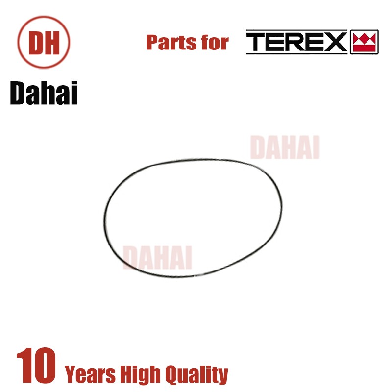 DAHAI Japan seal-o ring 15258053 for Terex TR100 Parts