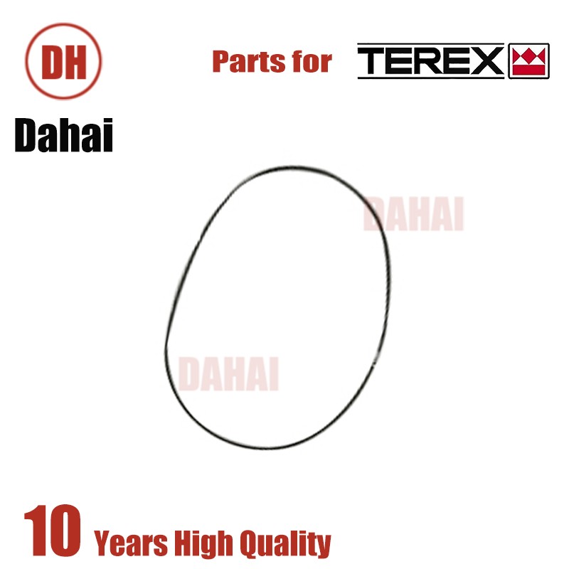 DAHAI Japan seal-o ring 15258053 for Terex TR100 Parts