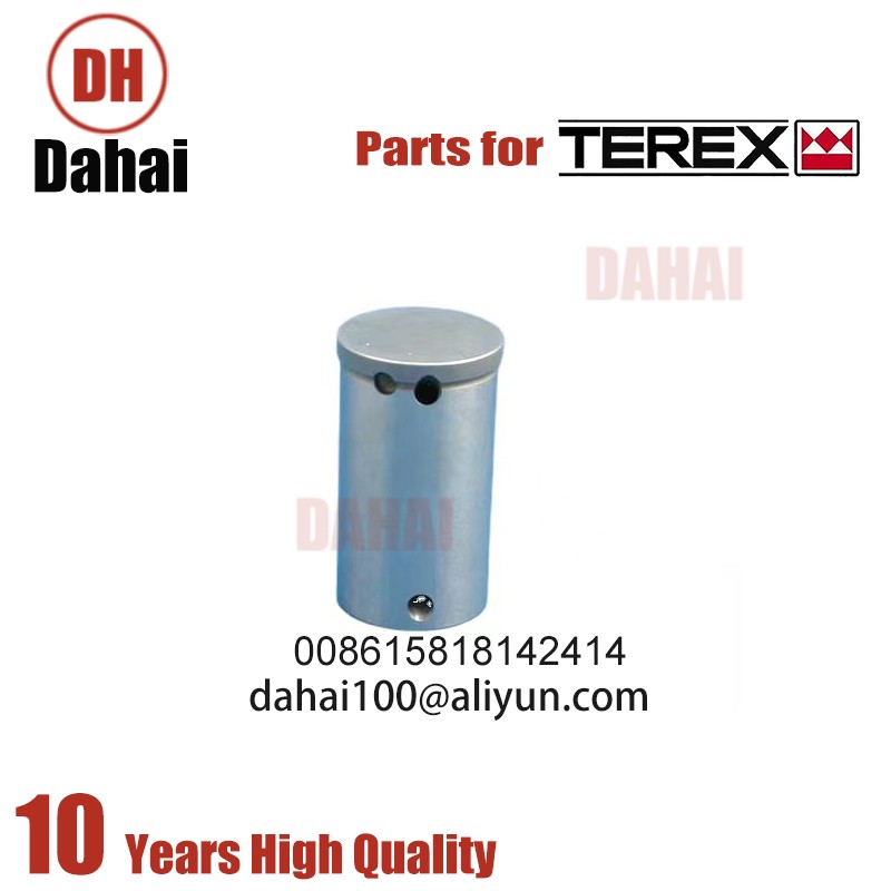 DAHAI Japan spindle 6758581 for Terex TR100