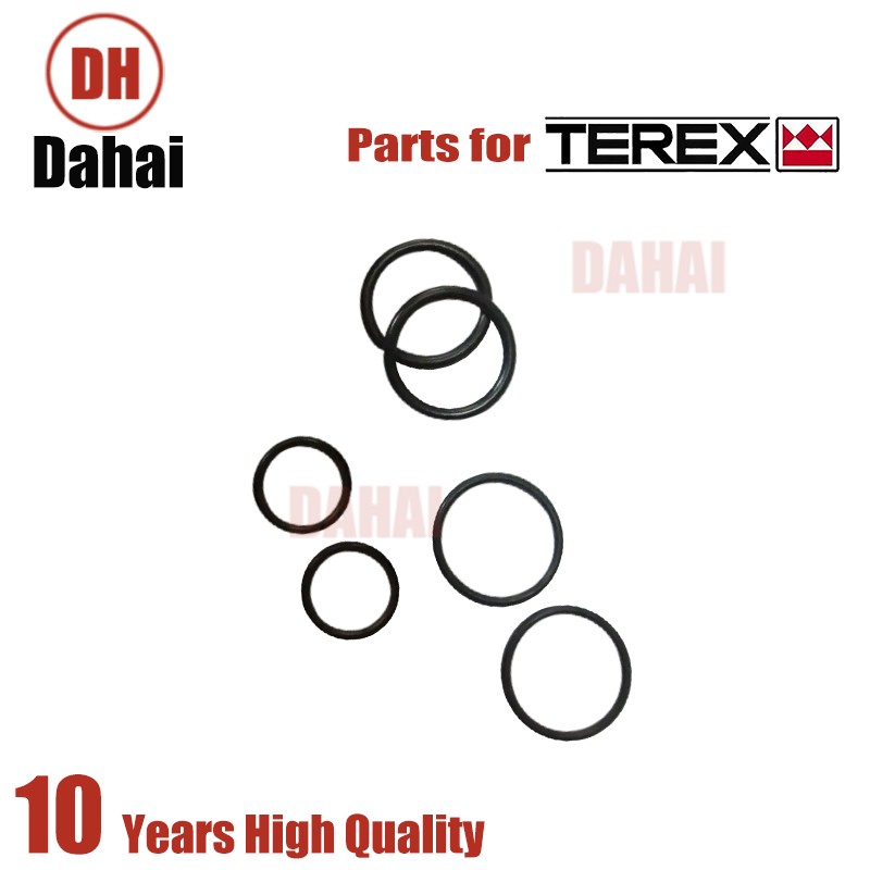 Terex SERVICE KIT 15272175 for Terex TR100 Parts