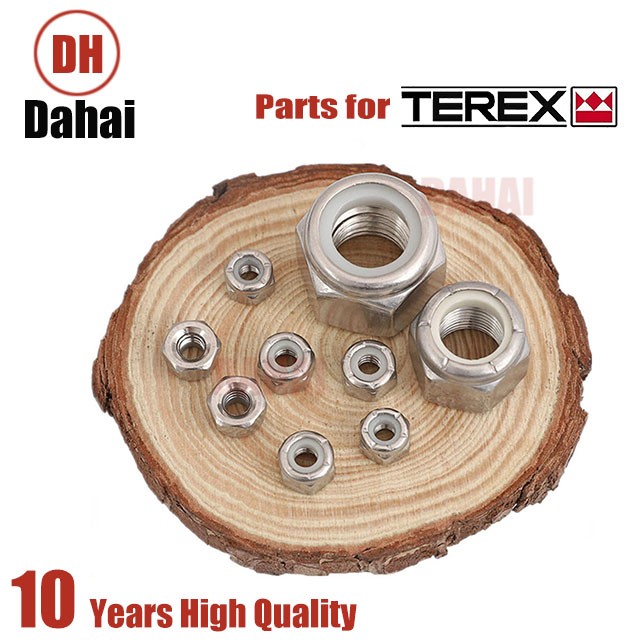 Dahai brand Terex part  9419493 locknut  for Tr100